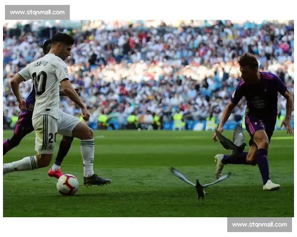 西甲足球联赛观赛入门指南 如何轻松理解西甲比赛和球队特色 - 副本